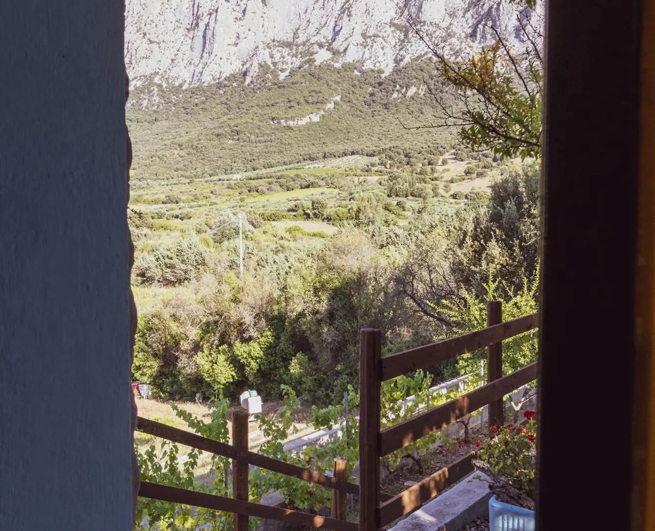 Panoramic House Villa Oliena Holiday home