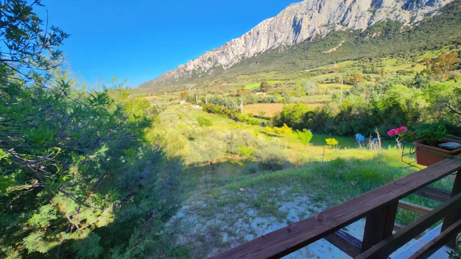 Panoramic House Villa Oliena 0*,  Italy