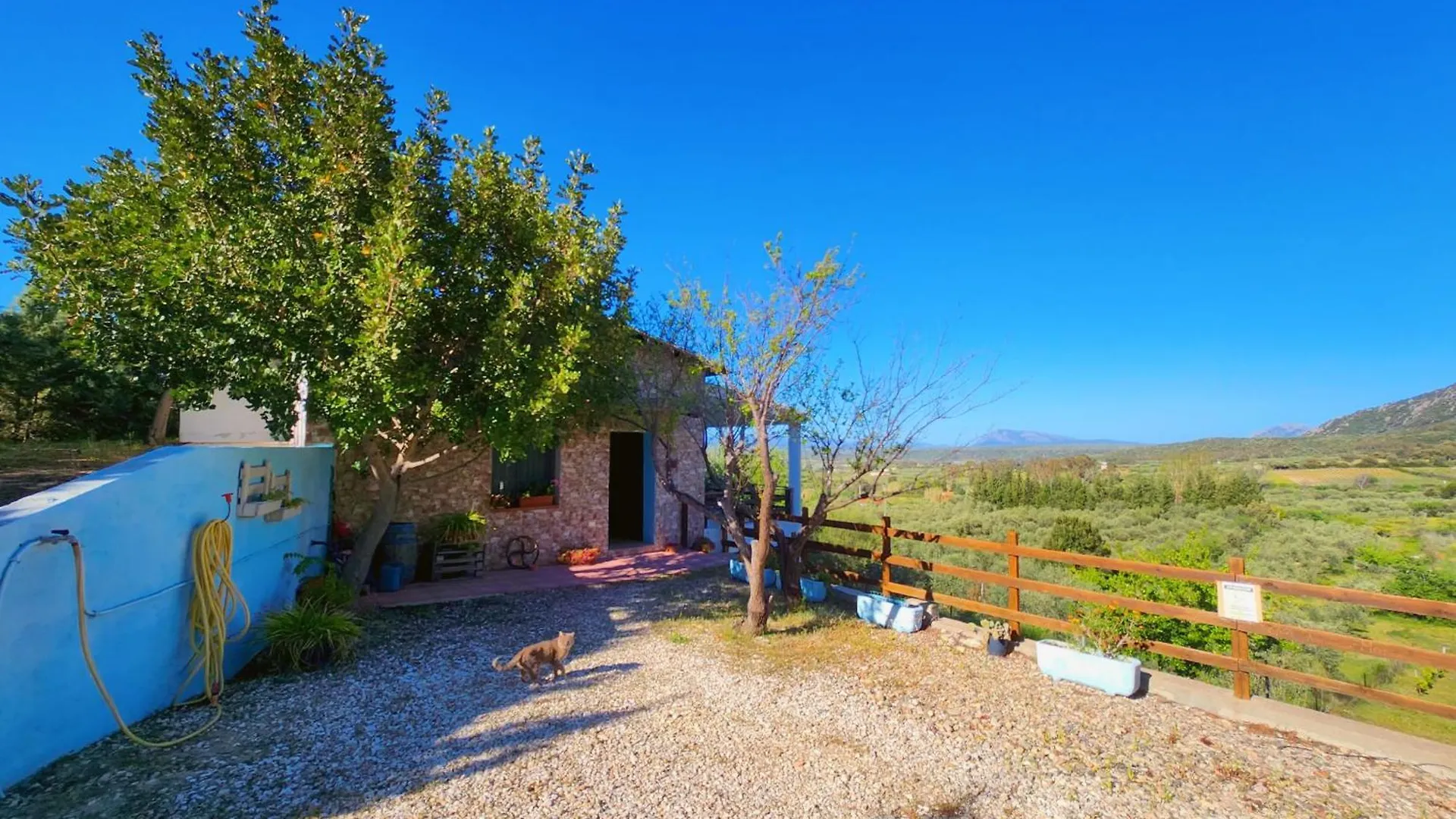 Panoramic House Villa Oliena